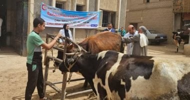 الطب البيطري بسوهاج تنظم قافلة بيطرية لعلاج الماشية بالمجان بالمراغة