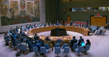 مجلس الأمن الدولي