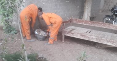 محافظ أسيوط: رفع 80 طن مخلفات خلال حملات النظافة بقرى مركز البدارى