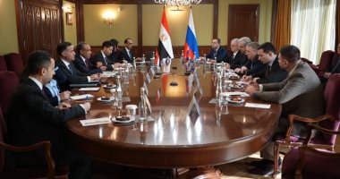 وزير الخارجية يلتقي نائب رئيس الوزراء الروسي فى موسكو