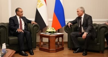 وزير الخارجية يبحث مع رئيس مجلس الدوما الروسى تعزيز التعاون فى مجالى الطاقة والأمن الغذائى