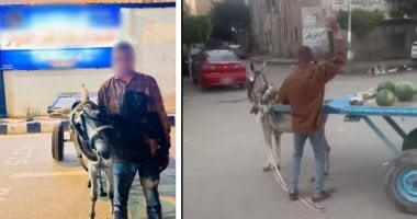 فيديو رجم الدابة.. الأمن يضبط بائع كفر الدوار بعد مشهد مثير للغضب