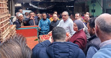 محافظ الدقهلية: تحرير 141 مخالفة تموينية خلال يوم واحد