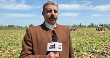زراعة الإسماعيلية تواصل المرور الميداني لمتابعة المحاصيل الزراعية بالقصاصين