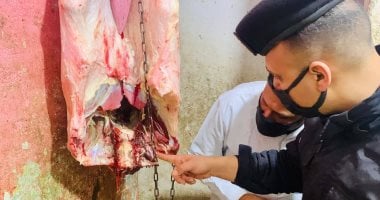 ضبط شخص لذبحه أبقارًا نافقة فى المنوفية.. اعرف التفاصيل