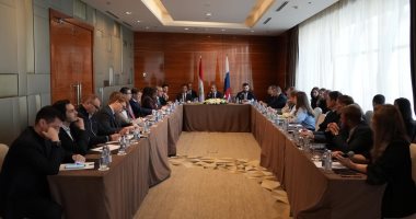 وزير الخارجية يلتقى ممثلى كبرى الشركات الروسية بمشاركة نائب وزير الصناعة