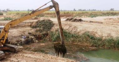 نجاح موسم الزراعات الشتوية بأسوان