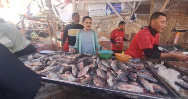 كفر الشيخ: مبادرة ضد الغلاء توفر الأسماك البلطي بـ60 جنيها والبوري بـ150