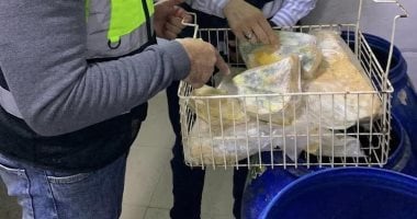 سلامة الغذاء تضبط 2 طن دواجن وجبن فاسدة داخل محلات شهيرة بطنطا