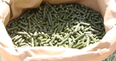 من مخلفات النخيل ينتجون علفا حيوانيا مكتمل العناصر الغذائية بالوادى الجديد.. تنفيذ مشروع بطاقة 20 طنا فى اليوم واستكمال إجراءات تنفيذ أكبر مشروع لإنتاج خشب mdf من المخلفات بتكلفة 70 مليون يورو.. وتدريب مزارعين