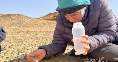 بعد نشر اكتشافها بمجلة Science العالمية.. الباحثة شروق الأشقر لـ اليوم السابع: قضيت أسابيع بالصحراء للبحث عن الحفرية.. قُدت فريقا بحثيا لتغيير خريطة تواجد القردة العليا.. وتؤكد: المرأة المصرية رائدة دائما.. صور