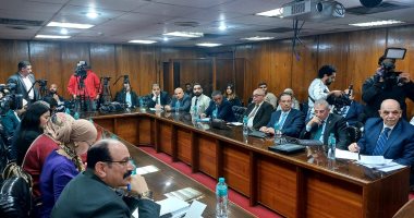 خبراء: لا بد من تبني وتنفيذ الرؤية المصرية لحل الأزمات الإقليمية