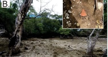 علماء يوثقون جزيرة فى المحيط الهادئ تشكلت من بقايا طعام البشر منذ ألف عام