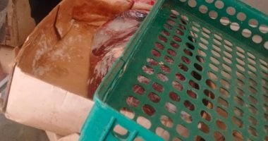 ضبط نحو طن لحوم منتهية الصلاحية ومجهولة المصدر بالإسكندرية