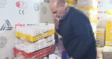 استعدادا لشم النسيم.. ضبط 5 أطنان ونصف لحوم غير صالحة للاستهلاك بالخانكة