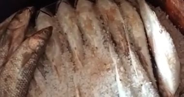 إزاى تعرف الفسيخة الحلوة.. تعالى هنقولك مواصفتها من قلعة الفسيخ فى مصر.. فيديو