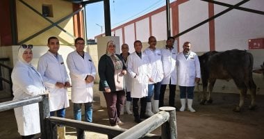 عيد سوهاج القومى.. بدء التشغيل التجريبي لأول مجزر نصف آلى بسوهاج