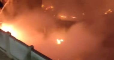 الحماية المدنية تسيطر على حريق أشجار المنيب