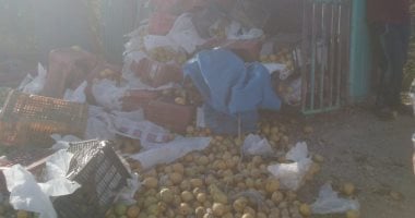 انقلاب سيارة نقل محملة بالجوافة وإصابة سائقها فى قنا.. صور