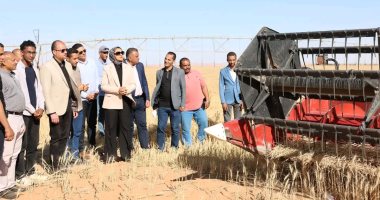 محافظ الوادي الجديد تشهد حصاد محصول القمح بأحد مشروعات الاستثمار الزراعي
