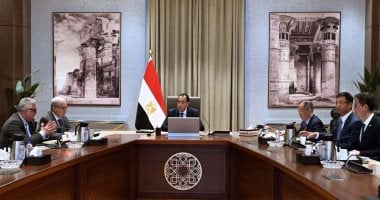 رئيس الوزراء يستعرض مع رئيس شركة خينان تشهنجفو الصينية خطة إقامة مصنع ضخم للألومنيوم