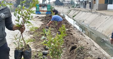 محافظ كفر الشيخ: زراعة الأشجار وإنشاء الحدائق وتجميل الميادين وتطهير مصرف