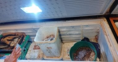 ضبط 350 كجم أسماك مملحة غير صالحة خلال حملات مكثفة على الأسواق بالإسكندرية