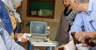 الخدمات البيطرية بسوهاج تدعم المربين بندوات إرشادية وتسليم أغنام بساقلتة