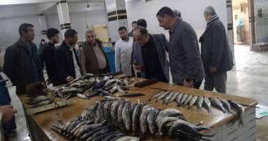 ضبط أكثر من 16 طن أسماك مملحة ومدخنة خلال حملات بالشرقية