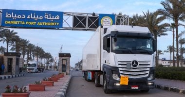 ​ميناء دمياط يتحول لمركز إقليمي للترانزيت.. استقبال شحنات أوروبية عبر خط "الرورو"