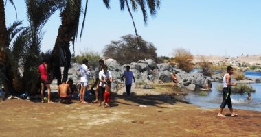 حدائق أسوان.. بهجة شم النسيم على ضفاف النيل.. فريال تاريخ ملكى تحول لفسحة شعبية.. والنباتات كنز عالمى يضم 800 نوع نادر.. وجزيرة بربر تمنحك رحلة هادئة بقلب الطبيعة الساحرة.. والسياحة الداخلية تنعش الاقتصاد.. صور