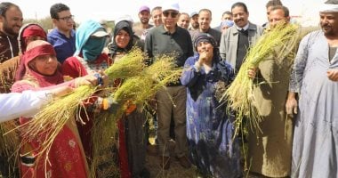 فرحة المزارعين بالكتان