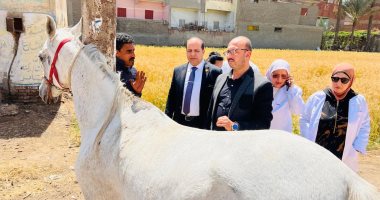 محافظ الدقهلية: قوافل طبية بيطرية مجانية تقدم أكثر من 3 آلاف خدمة علاجية