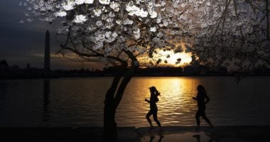 الكاميرا حول العالم.. لقطات ساحرة مغامرات مثيرة 