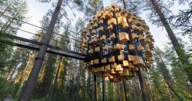 أعشاش فندقية.. 350 محل لإقامة الطيور فى فندق بالسويد