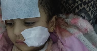 طفلة تتعرض لهجوم من أسد أثناء التقاط صور فى السيرك القومى.. صور 