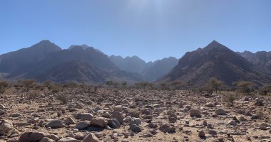 أبرز المعالم الطبيعية فى البحر الأحمر.. واحة الضباب فى حلايب وجهة عشاق الطبيعة والمغامرات.. السحاب يلامس قمة جبل "علبة" بارتفاع 1435 مترًا فوق سطح البحر.. وتنبت أعلاه أشجارا نادرة أشهرها "التنين".. فيديو وصور
