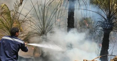 محافظ الوادى الجديد: السيطرة على حريق العوينة واستمرار جهود أعمال التبريد