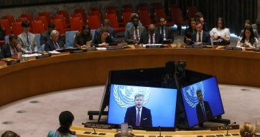 مجلس الأمن الدولي