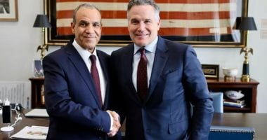 وزير الخارجية يستعرض مع «مجلس الشيوخ الأمريكى» جهود مصر لدعم الأمن والاستقرار