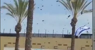 هجوم أسراب من النحل تثير حالة من الذعر فى جنوب إسرائيل.. "فيديو"