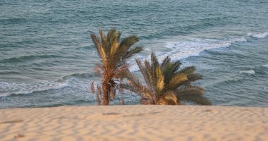 ذروة موجة حارة تضرب شمال سيناء.. وارتفاع الحرارة إلى 35 درجة مع رياح مثيرة للأتربة