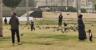 مشهد أوروبي.. الحمام بالمئات في ميدان الشهداء ببورسعيد.. فيديو وصور