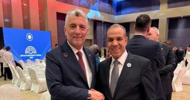 وزير الخارجية بدر عبد العاطى