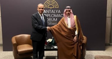 وزير الخارجية ونظيره السعودي