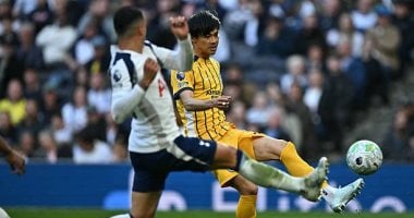 مباراة توتنهام ضد برايتون