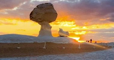 الوادي الجديد.. جنة السفاري والمغامرات في قلب الصحراء