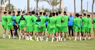 فريق المصري