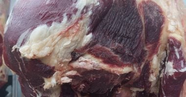 محافظ أسيوط: ضبط 74 كيلو لحوم غير صالحة للتداول فى حملة مفاجئة بقرى أبوتيج