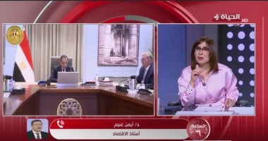 كيف تواجه مصر أزمة الطاقة؟.. أيمن غنيم يكشف خبايا علاوة المخاطر بأسعار البترول